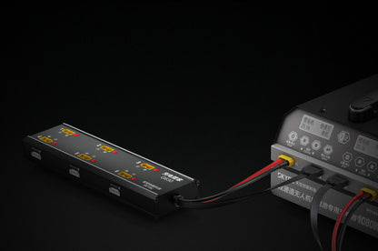 SkyRc Charging Hub G630 for PC1080 - SK600124-01 - RCXX - RC Racing Shop | RC Models | Tuning & Spare Parts for Professionals